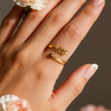 Zodiac Ring Aquarius