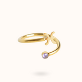 Sterrenbeeld Ring Vissen