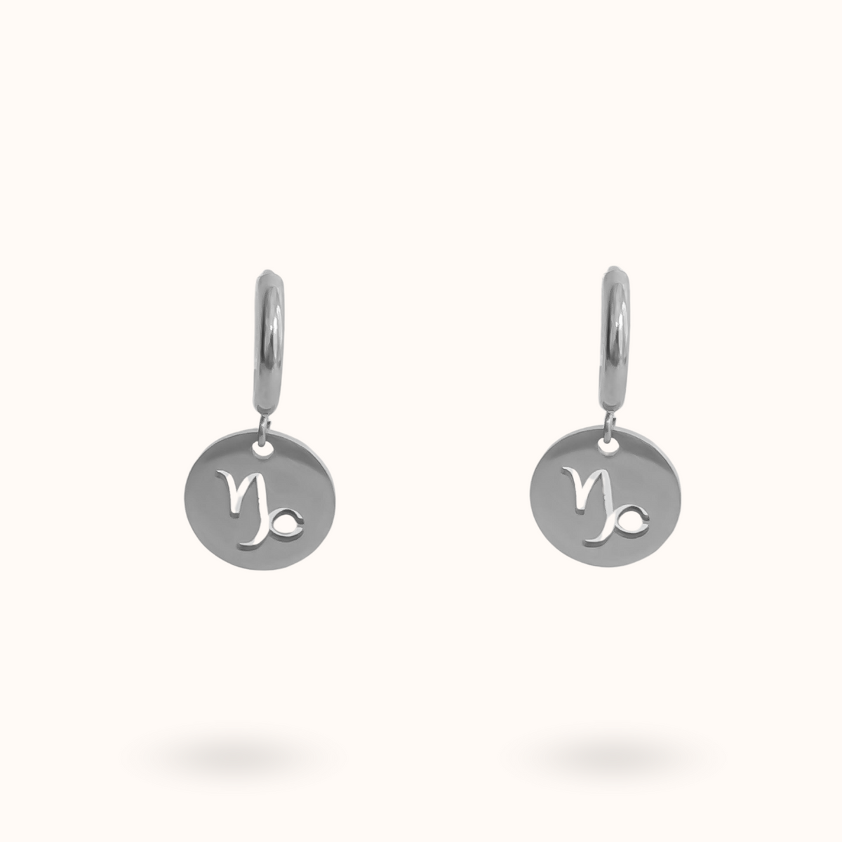 Zodiac Earrings Capricorn Silver