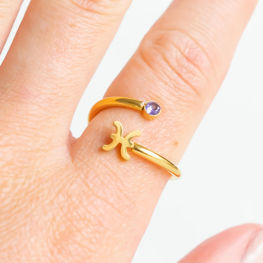 Sterrenbeeld Ring Vissen