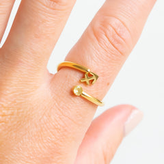 Zodiac Ring Sagittarius