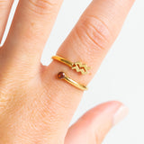 Sterrenbeeld Ring Waterman