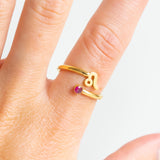 Sterrenbeeld Ring Leeuw